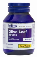 Olive leafs