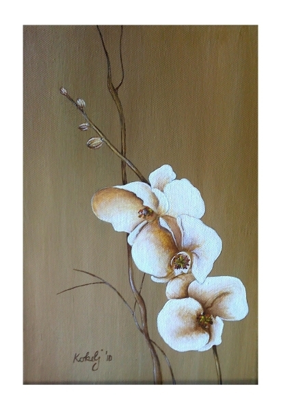 Slika Orhideja